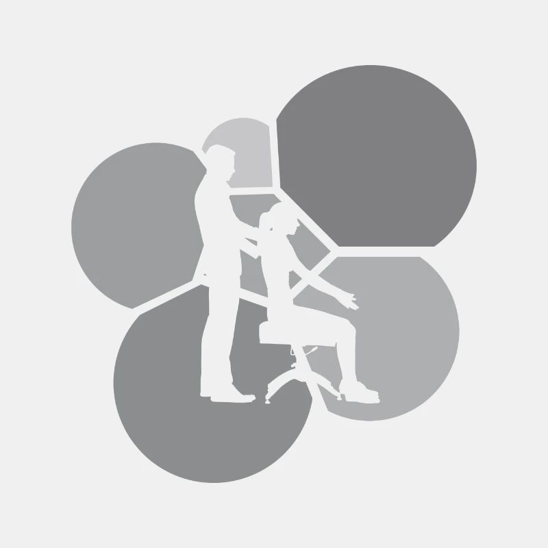 Chiropractic Adjustment Chiropractor