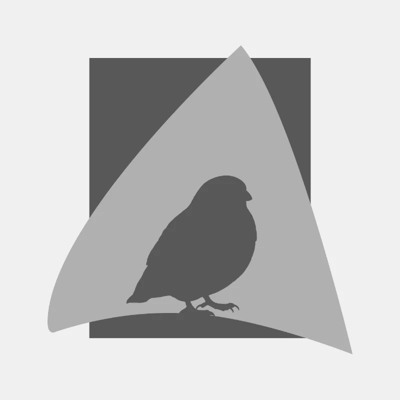 Observation des oiseaux perruches ailées
