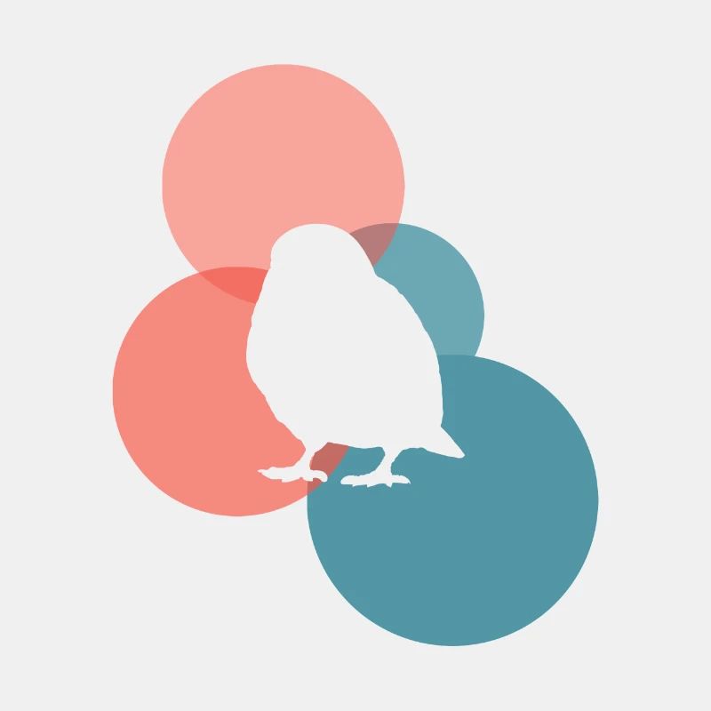 Vogel Vogel Abbildung Vogel Abbildung