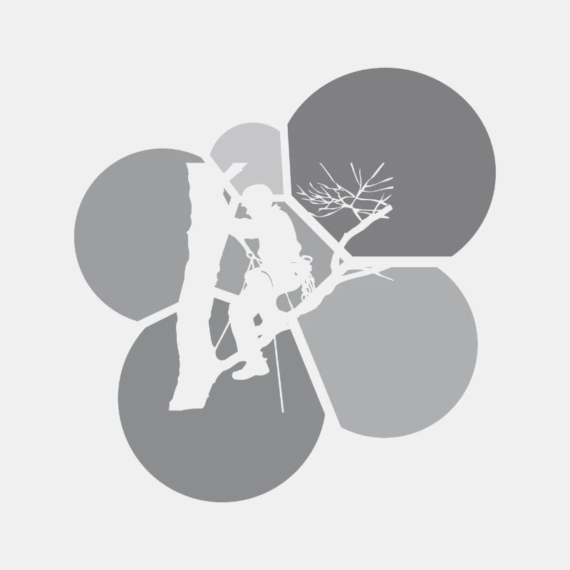 Klettern Baumklettern