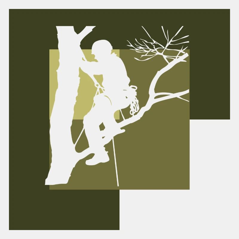 Tree Climbing Climbing Ascent