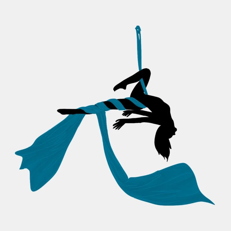 Aerial Silk