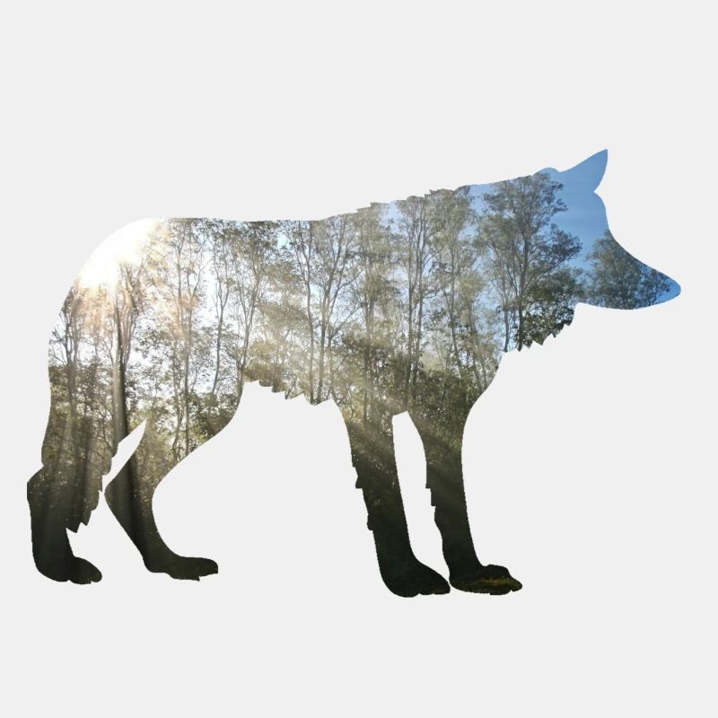 wolf im Wald