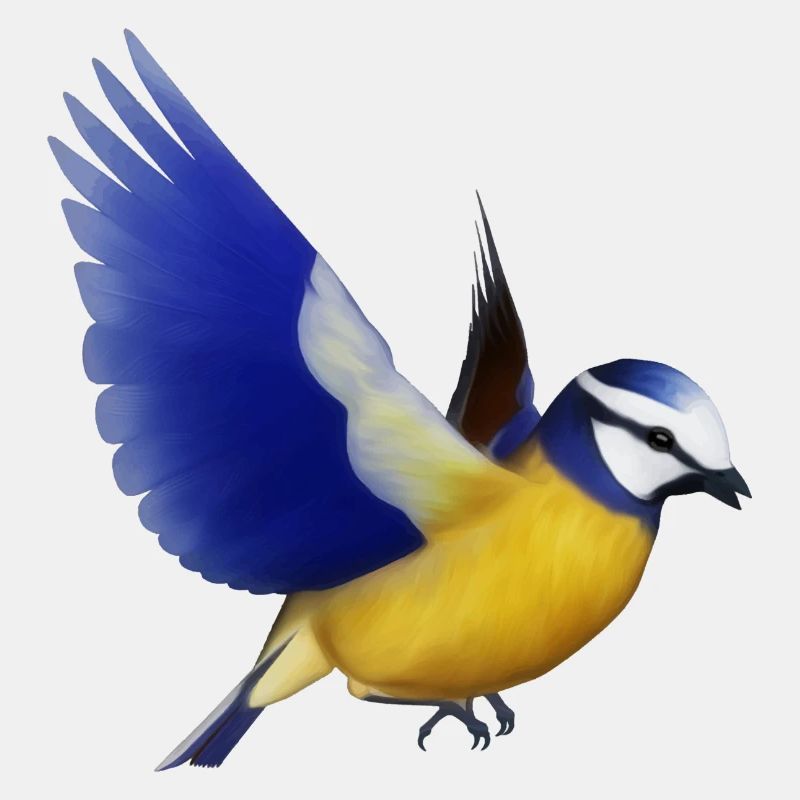 blaumeise,meise,vogel,tier