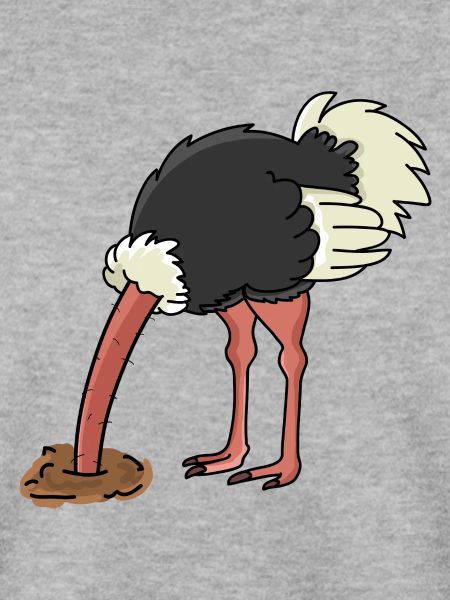 Vogelstrauß Vogel Strauß