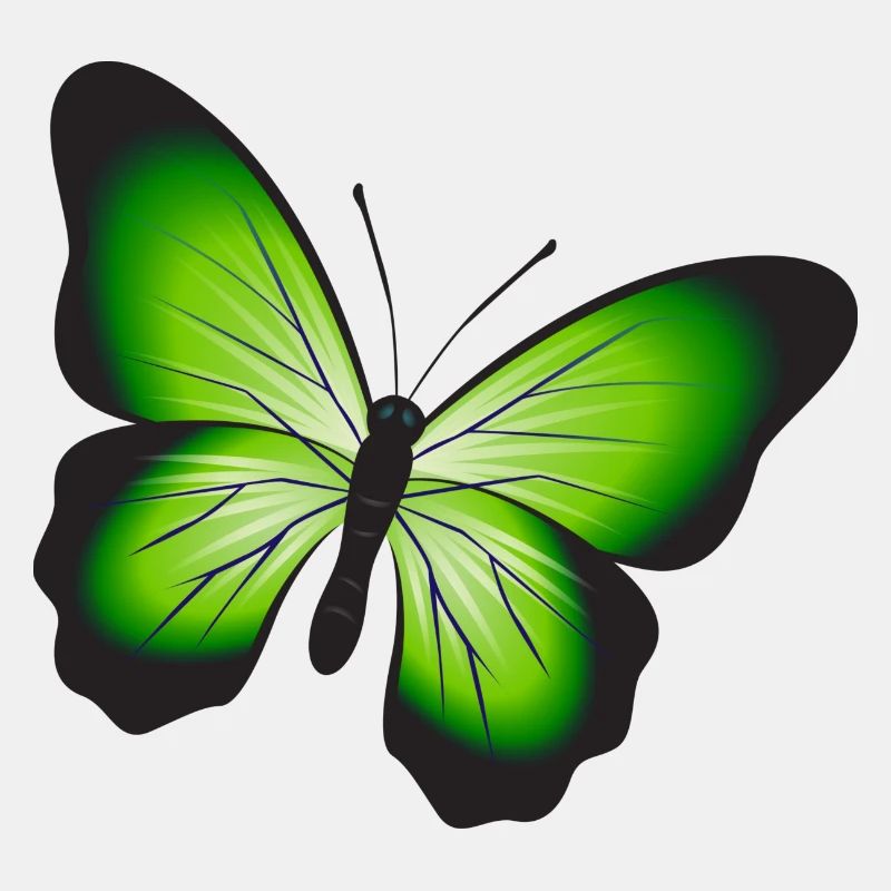 Ein schöner Schmetterling