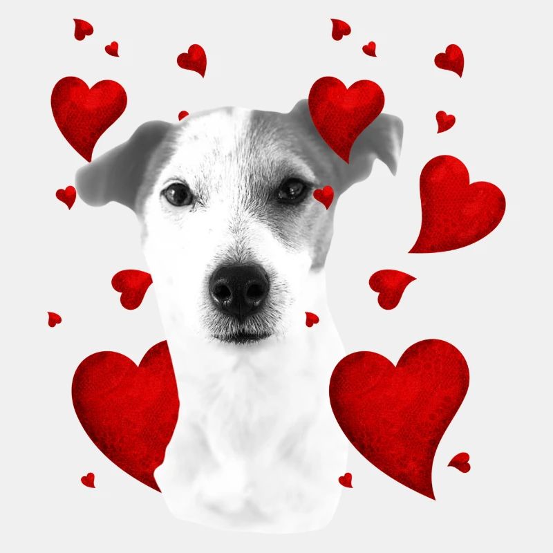 Jack Russel mit Herzen