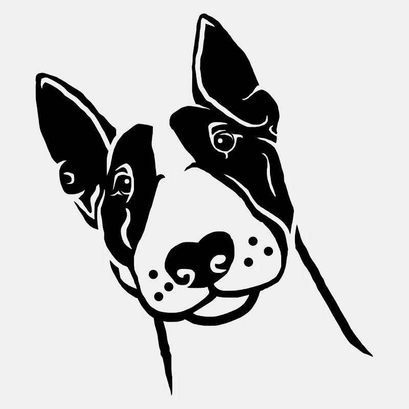 Miniatur Bullterrier