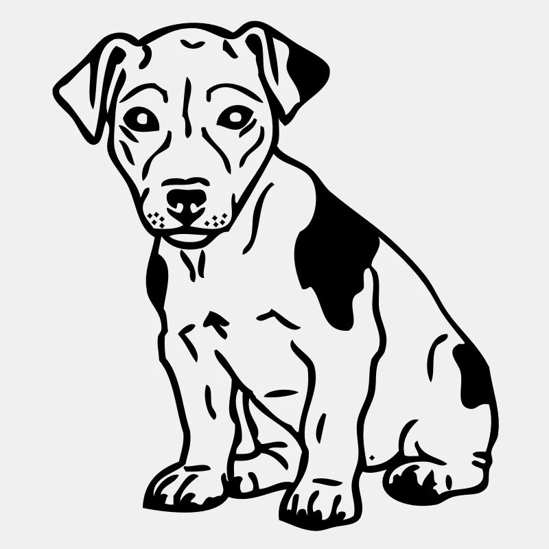 jackrussel - www.dog-power.nl