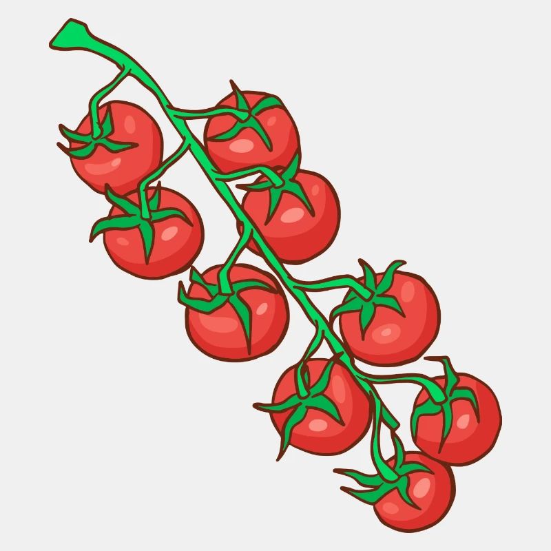 Cocktail tomatoes Party tomatoes Tomatoes Paradeiser