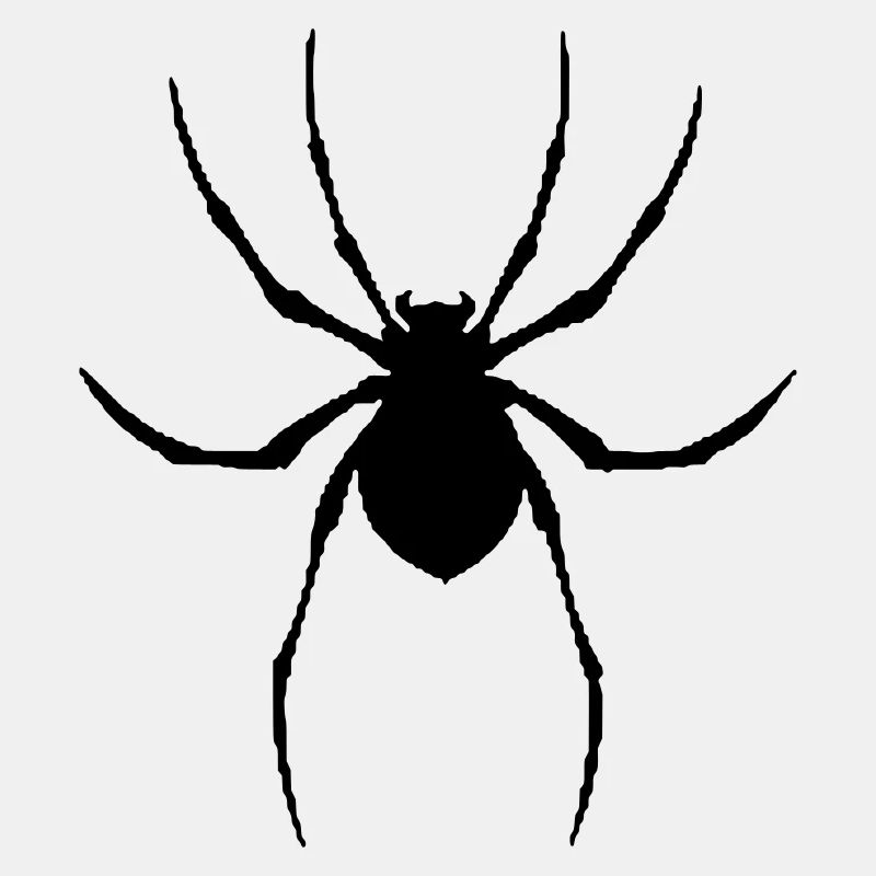 Spinne Vektorgrafik