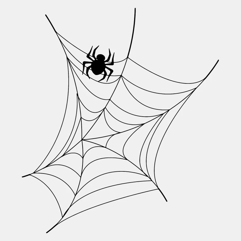 web spider