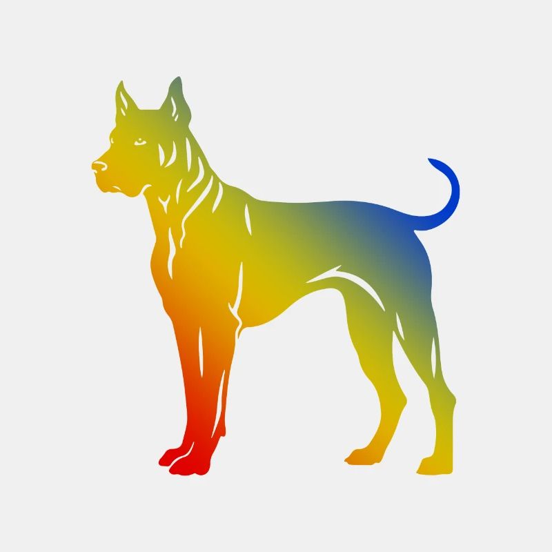 Chien Dogue Argentin
