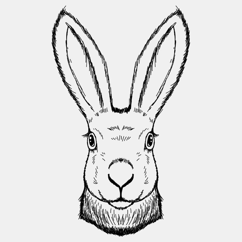 Rabbit drawn, handmade, Easter