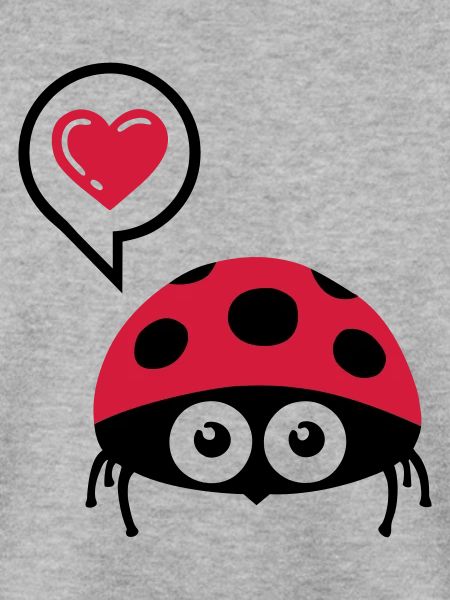 Marienkäfer (ladybug) 02.2