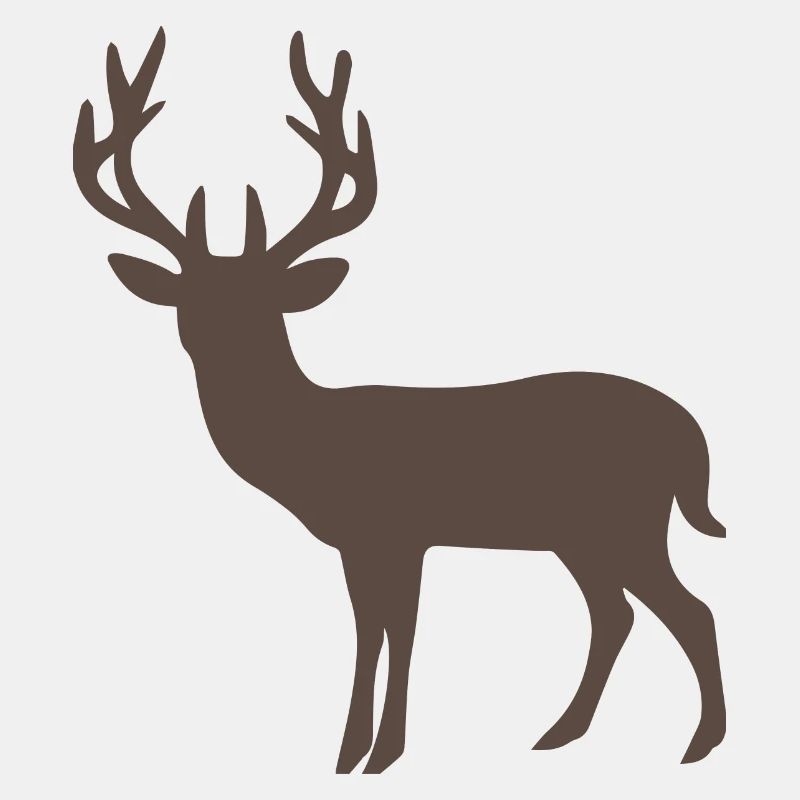 forêt noire cerf bois de forêt noire chasse J
