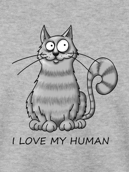 Katzenliebe
