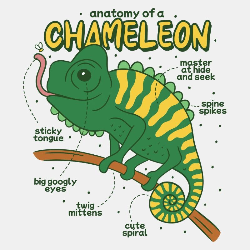 Anatomie eines Chamäleons