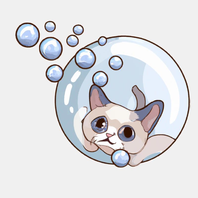 Seifenblasen Katze