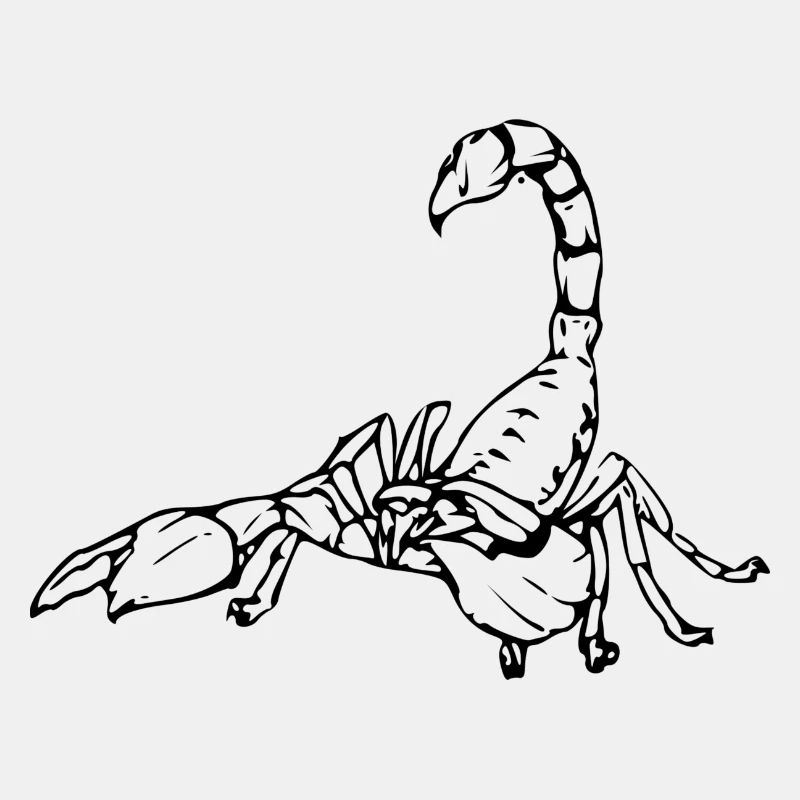 Scorpion