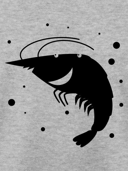 Languste - Fisch Meereswesen Tierfreund