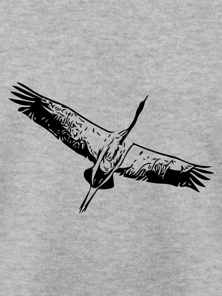 Reiher Vogel im Flug
