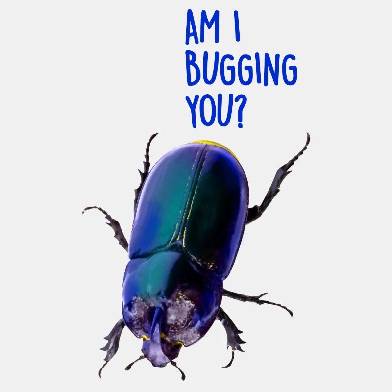 Am I bugging you
