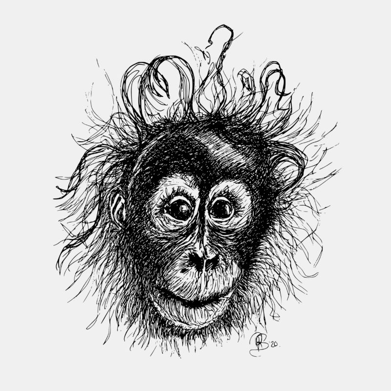 Orang-Utan