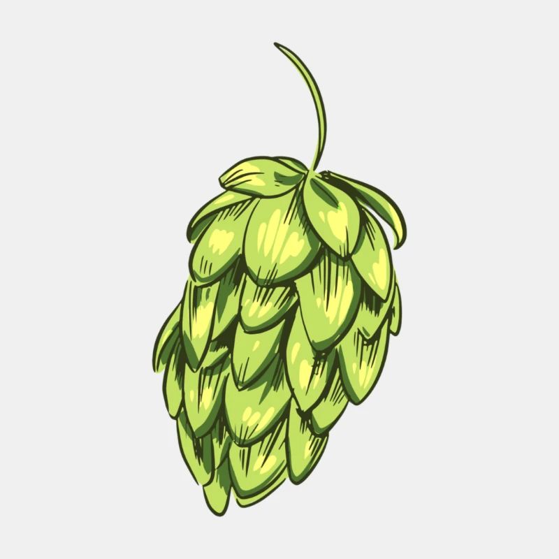 Hopfen