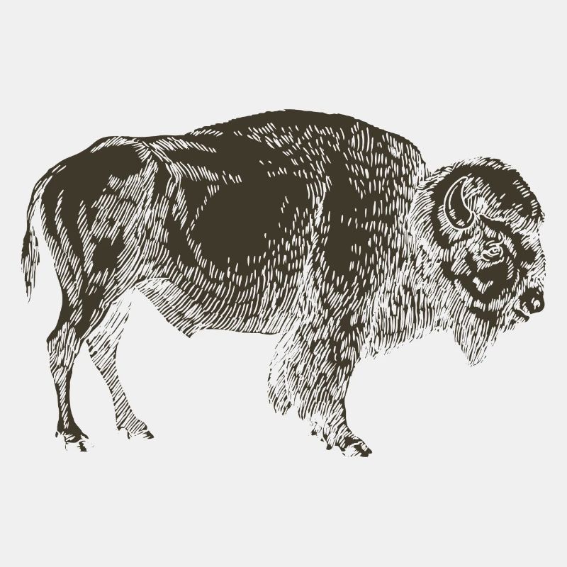 Wildtiere