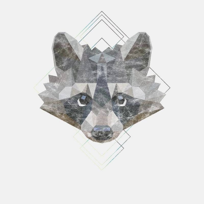 Waschbär