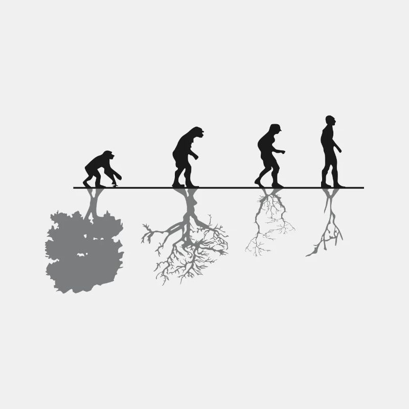 Evolution Black