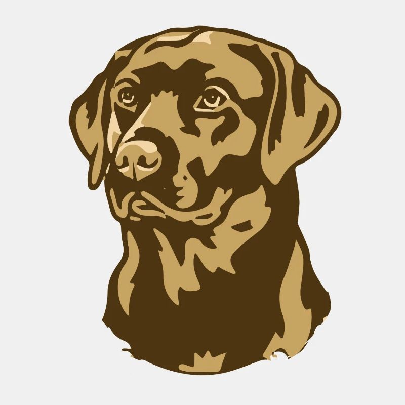 Evolution des Golden Retrievers