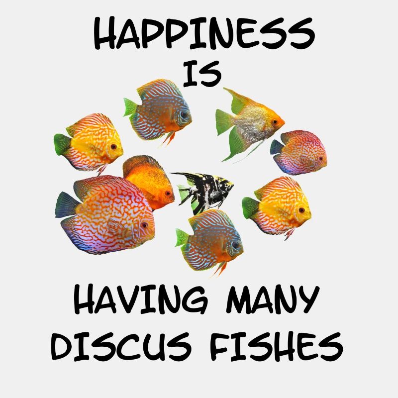 Diskus Fische Aquarium