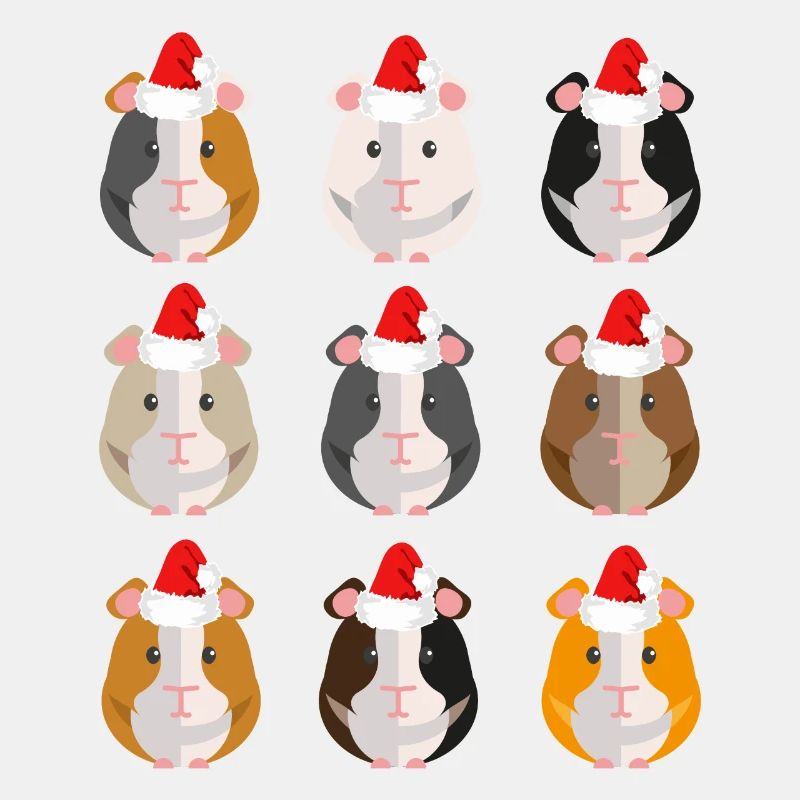Chapeau de Noel Noel de Cochon d'Inde