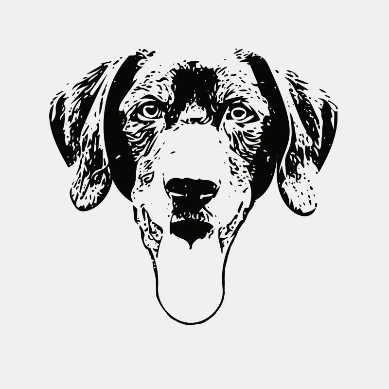 Schwarzer Labrador Retriever