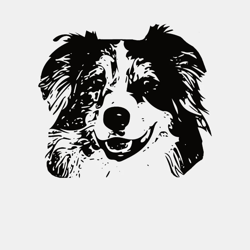 Australischer Schäferhund Australier