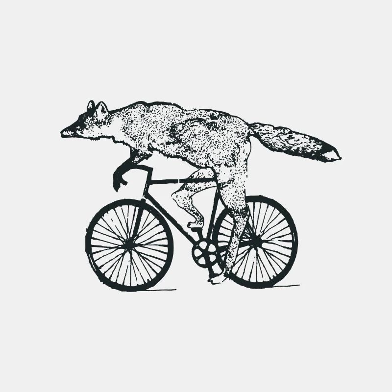 Fuchs Fahrrad Radfahrer Rad