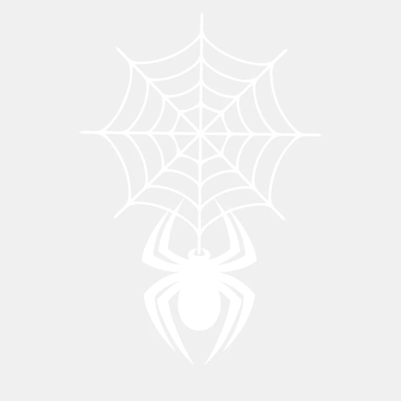 Spinnennetz mit Spinne