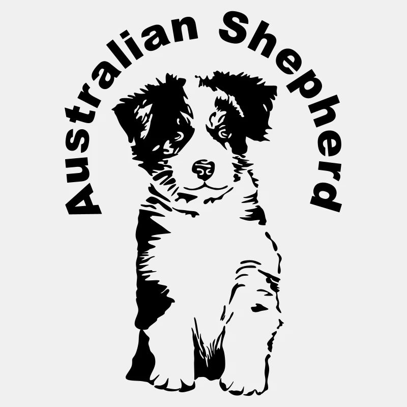 Australian Shepherd Welpe