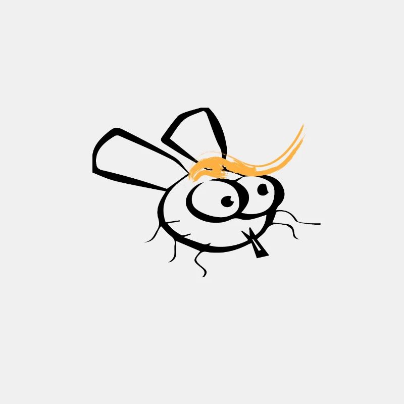 fly