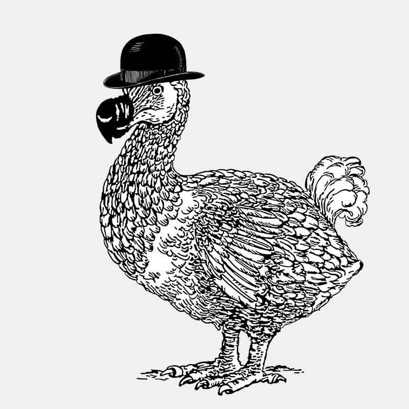 Dodo avec chapeau