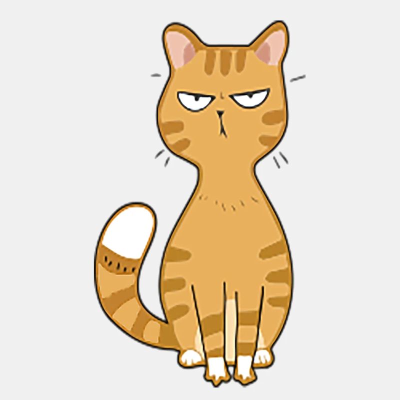 Katze böse oder niedlich
