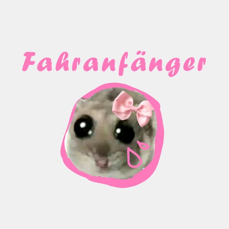 fahranfänger,hamster,fahrschule