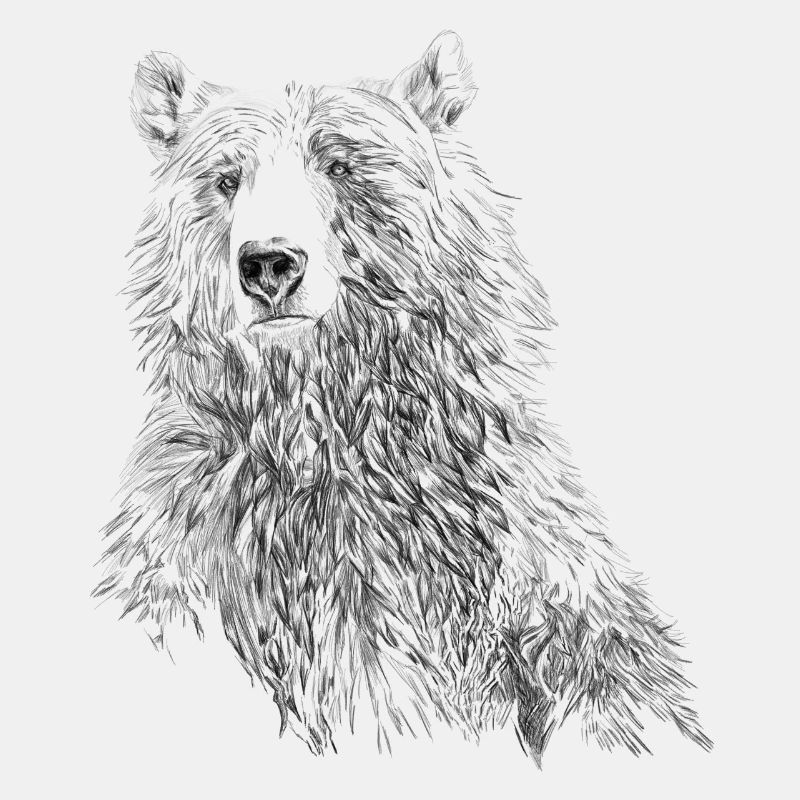 BÄR