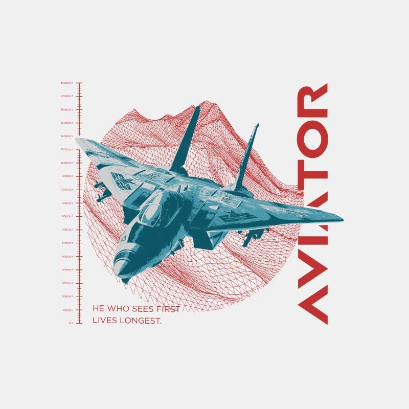 Aviator F-14 Tomcat