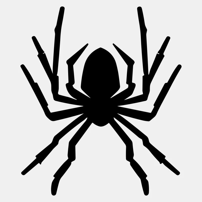 Spinne