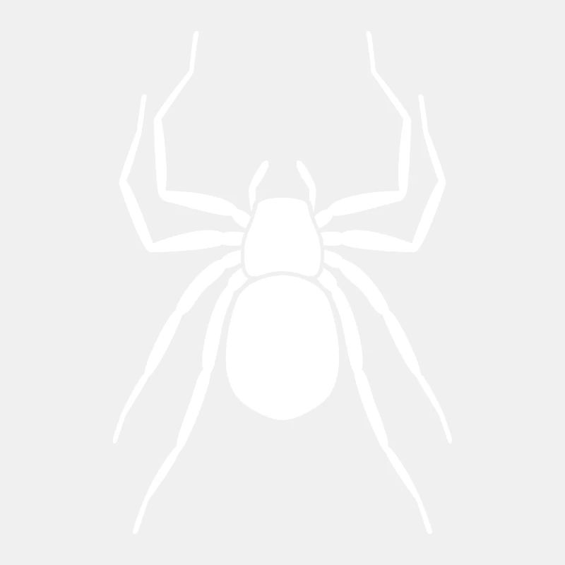 Spinne