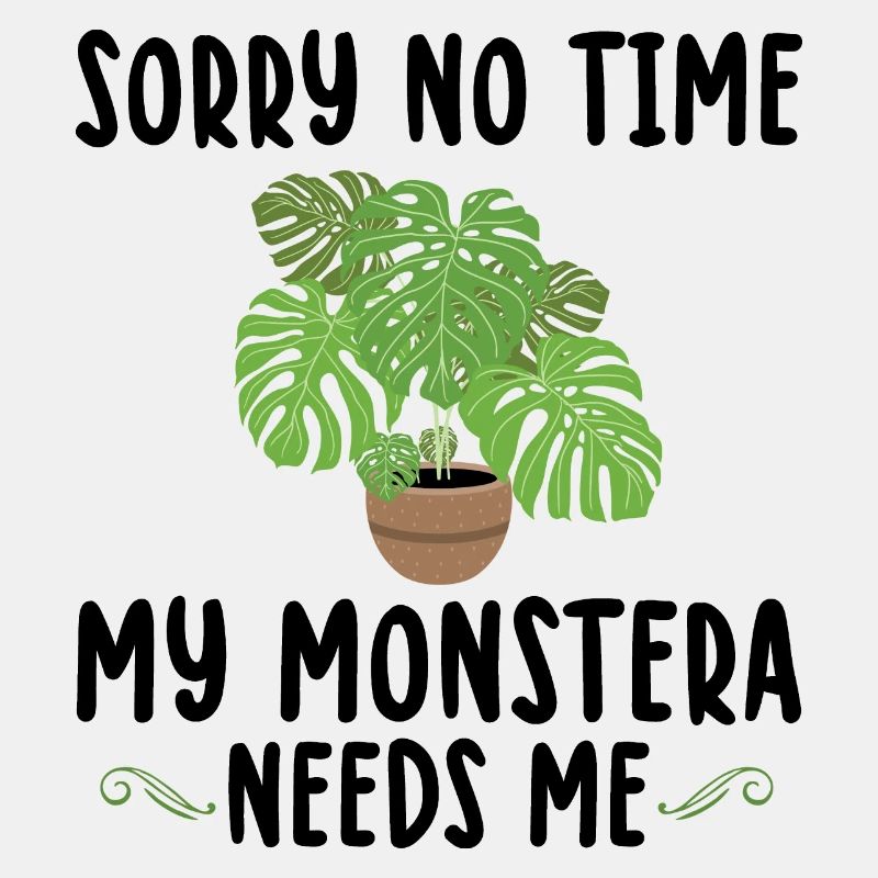 Monstera