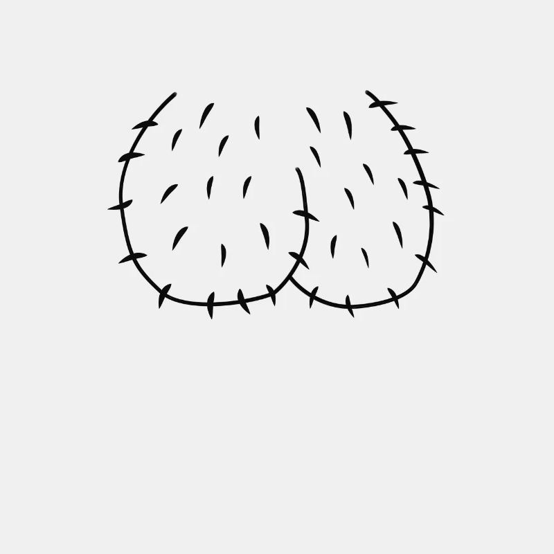 scrotum